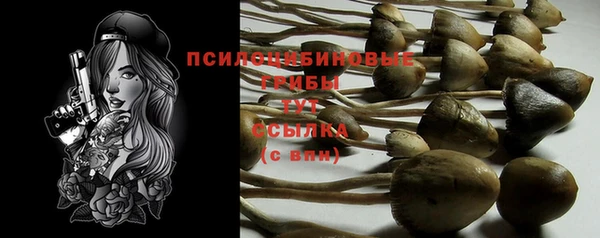 ECSTASY Алзамай