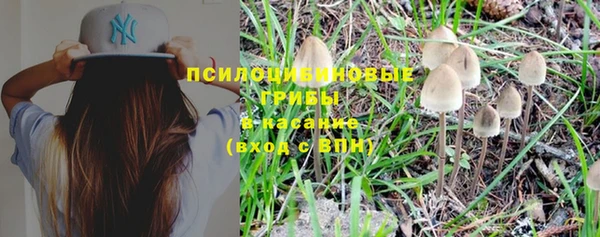 ECSTASY Алзамай