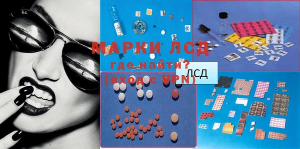 ECSTASY Алзамай