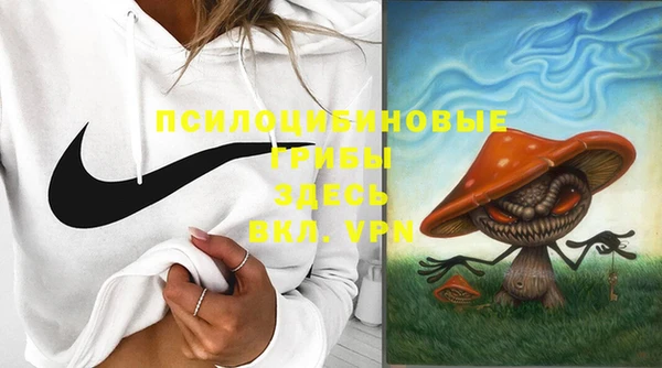 дмт Осташков