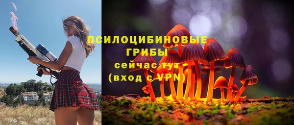 дживик Алексин