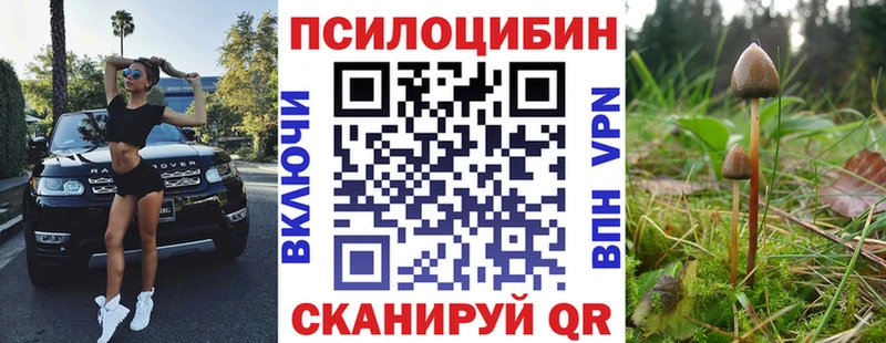 Псилоцибиновые грибы мицелий  Краснотурьинск 