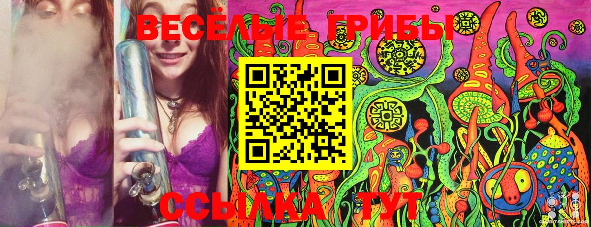 Галлюциногенные грибы Magic Shrooms  Вход с VPN  Псилоцибиновые грибы Psilocybe  Краснотурьинск 